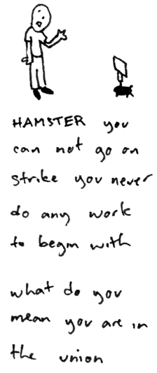 hamster-local-293.gif
