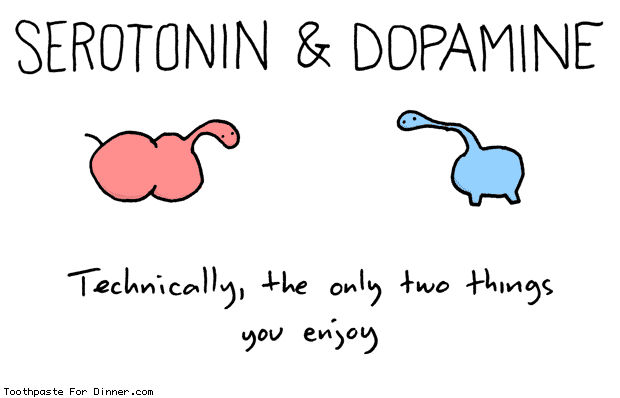http://www.toothpastefordinner.com/013111/serotonin-and-dopamine.gif