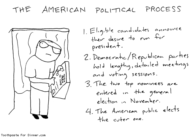 american-political-process.gif