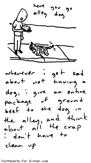 alley dog