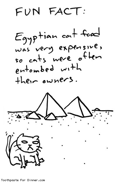 Cat In Egyptian. fun fact egyptian cat food was