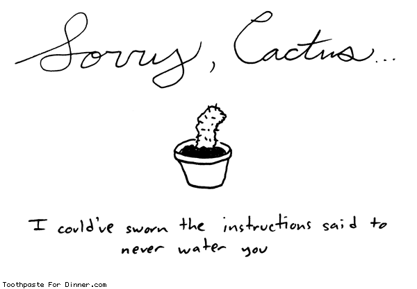 sorry cactus